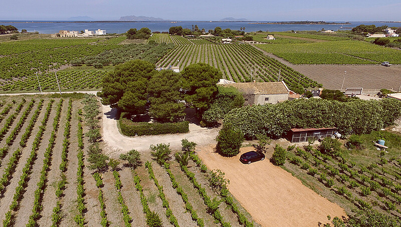 Aerial view of coastal vineyards near perfect kiteboarding waters - scenic travel destination for water sports