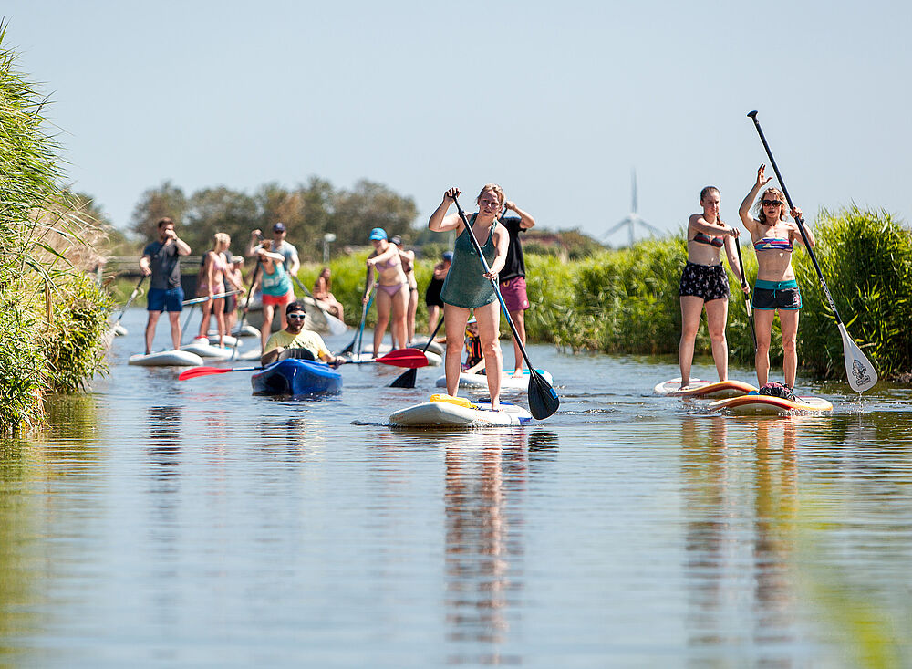 Kitesurf Holland013 beim Stand-Up Paddling (SUP) mit Gruppe auf ruhigem Gewässer - Wassersport Holland Reiseziel