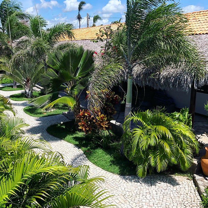 Jardim tropical com palmeiras e caminho de pedra no KBC Parajuru centro kitesurf - BR Pousada Mare Alta