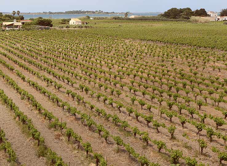 Vajarassa History: Sicily