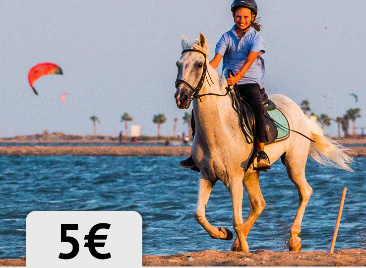 Habibahorse paardrijden op kitesurfstrand, kiteboarding watersport reisbestemming met Kooperationen